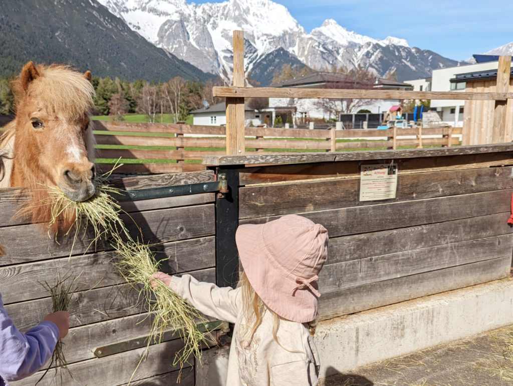 Reiten im Hotelurlaub Reiterferien Ponyreiten Tirol